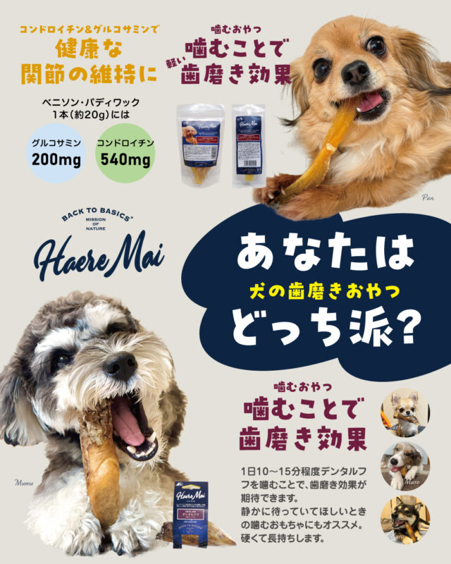 RED HEART｜レッドハート株式会社